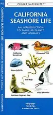 WATERFORD CALIFORNIA SEASHORE LIFE (9781583551363) NATUURGIDSJE Koop Online