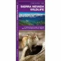 Laatste Kans WATERFORD SIERRA NEVADA WILDLIFE (9781583557952)