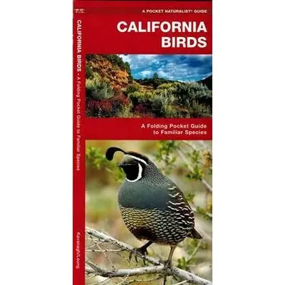 Nu Kopen WATERFORD CALIFORNIA BIRDS (9781583551011) VOGELGIDSJE